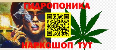 шишки Кунгур